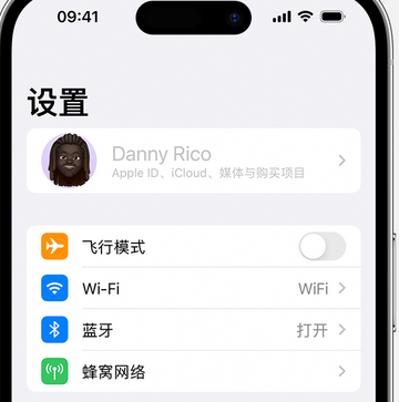 乌伊岭appleID维修服务iPhone设置中Apple ID显示为灰色无法使用 