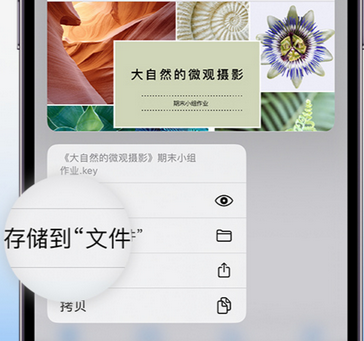 乌伊岭apple维修中心分享iPhone文件应用中存储和找到下载文件