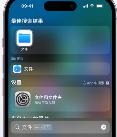 乌伊岭apple维修中心分享iPhone文件应用中存储和找到下载文件 