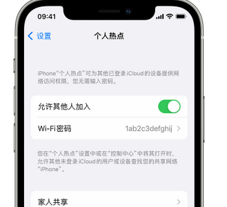 乌伊岭apple服务站点分享iPhone上个人热点丢失了怎么办 