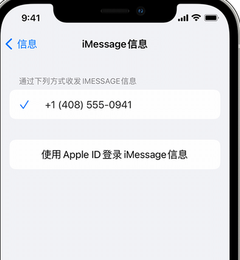 乌伊岭apple维修iPhone上无法正常发送iMessage信息 