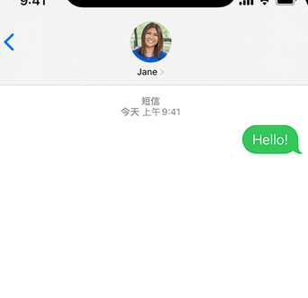 乌伊岭apple维修iPhone上无法正常发送iMessage信息