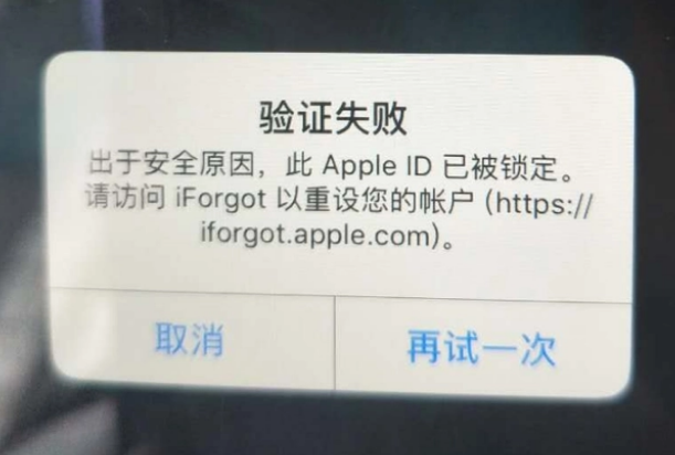 乌伊岭iPhone维修分享iPhone上正常登录或使用AppleID怎么办 