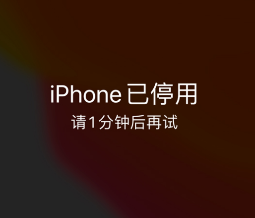 乌伊岭苹果手机维修分享:iPhone 显示“不可用”或“已停用”怎么办？还能保留数据吗？ 