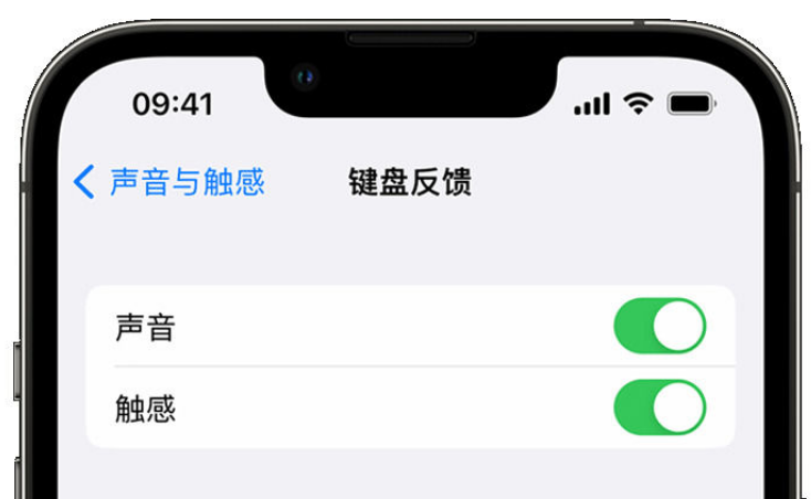乌伊岭苹果手机维修分享iPhone 14触感键盘使用方法 