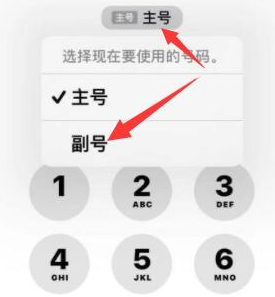 乌伊岭苹果14维修店分享iPhone 14 Pro Max使用副卡打电话的方法 