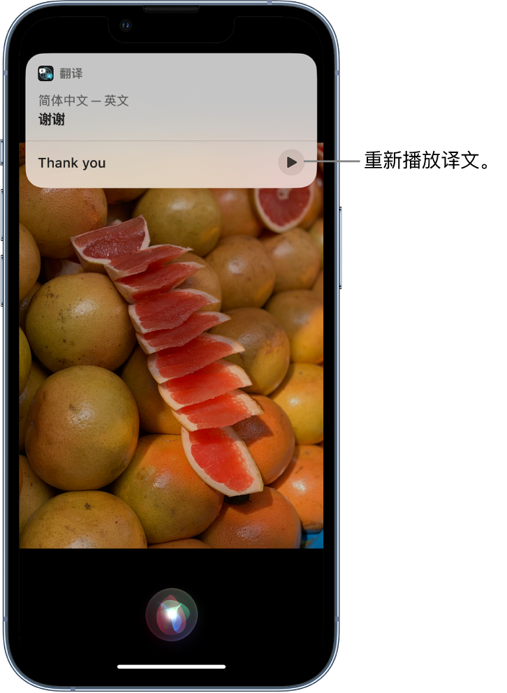 乌伊岭苹果14维修分享 iPhone 14 机型中使用 Siri：了解 Siri 能帮你做什么 