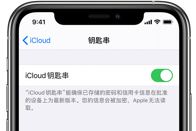 乌伊岭苹果手机维修分享在 iPhone 上开启 iCloud 钥匙串之后会储存哪些信息 