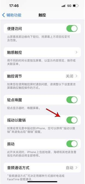 乌伊岭苹果手机维修分享iPhone手机如何设置摇一摇删除文字 