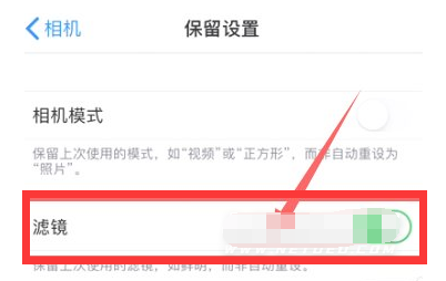 乌伊岭苹果13维修分享iPhone13拍照有绿点是怎么回事 