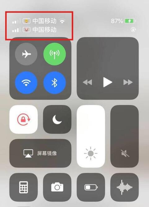 乌伊岭苹果手机维修分享为 iPhone 12 双卡设置标签 